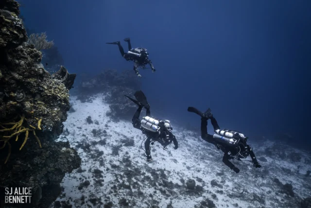 While we love wrecks and caves, FATHOM CCRs are excellent tools for cruising around on the deep reefs as well. Visit https://www.fathomdive.com/ for more info on the MK III and Gemini CCRs.

Photo by @sj.alice.bennett 

#fathomdivesystems #TechnicalDiving #CCRDiving #CCRExplorers #FathomDivers #DeepDiving