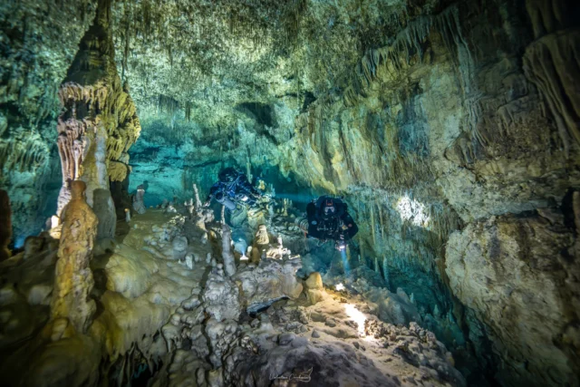 FATHOM explorers @maurocaveworld and Osama Gobara cruising through Cenote Cocom, Playa del Carmen, Mexico.
Photo by @valeoceano_liquidjungle 

 #fathomdivesystems #CCRDiving #FathomDivers #CCRExplorers #CaveDiving #CaveExploration #Exploration #rebreatherdiving #underwaterphotography #UnderwaterExploration
